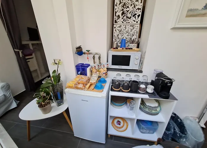 Geko Suite Toledo